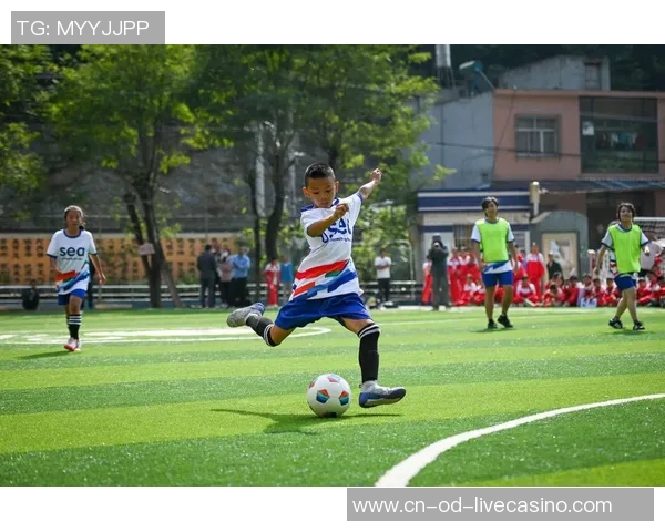 足球使命:追逐梦想的绿茵之路与无畏拼搏的精神传承 足球使命:追逐梦想的绿茵之路与无畏拼搏的精神传承