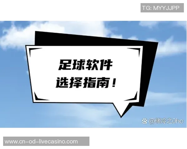 选择最佳足球品牌的指南哪个牌子的足球最值得购买与使用