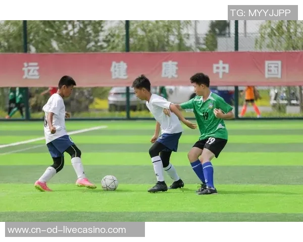 足球项目的魅力与发展探索如何提升青少年参与度与竞技水平